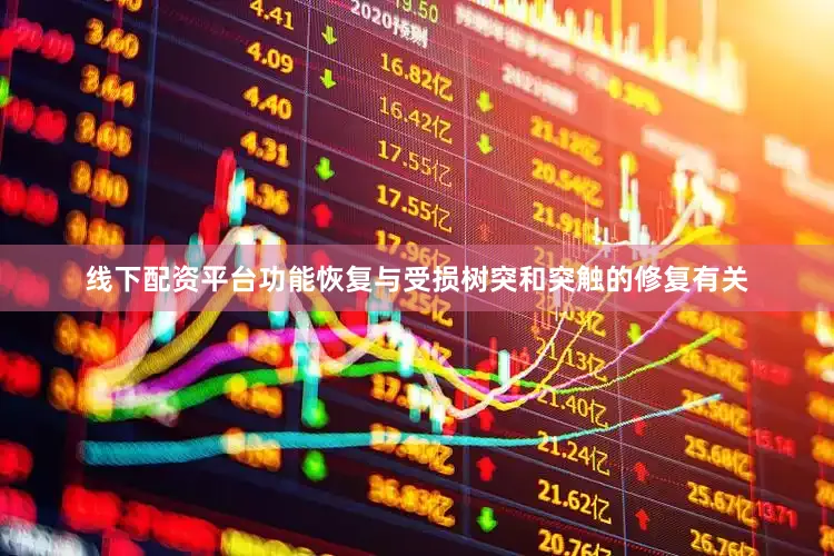 线下配资平台功能恢复与受损树突和突触的修复有关