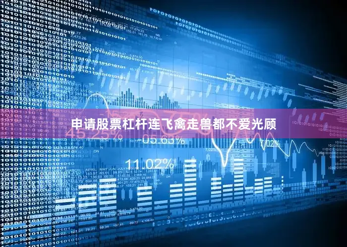 申请股票杠杆连飞禽走兽都不爱光顾