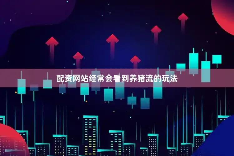 配资网站经常会看到养猪流的玩法